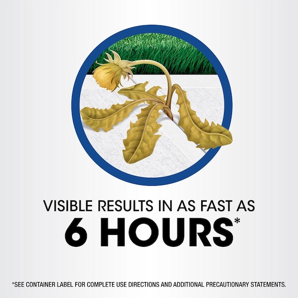 Imagen de producto 6